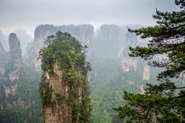 Misty steep mountain peaks - Zhangjiajie national park,China — Stock Photo, Image