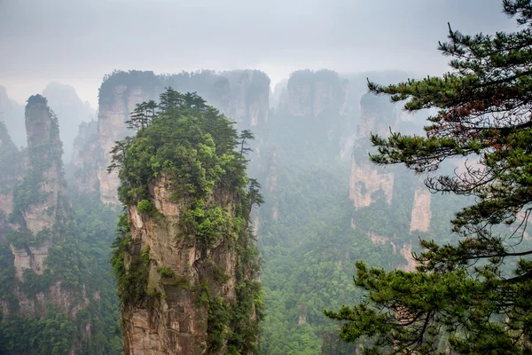 Стрімких гірських вершин - Zhangjiajie Національний парк, Китай — стокове фото