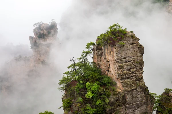 Misty steep mountain peaks - Zhangjiajie national park,China — Stock Photo, Image