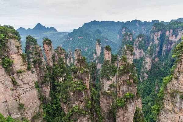 张家界国家公园，中国的山地景观 — 图库照片