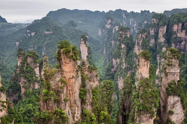 張り家界国立公園、中国の山の風景 — ストック写真