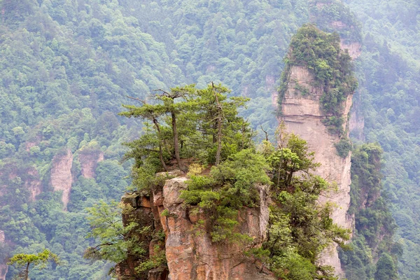 Paisaje montañoso del parque nacional Zhangjiajie, China —  Fotos de Stock