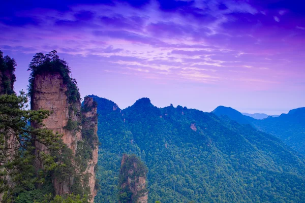 Dağ manzarası Zhangjiajie Milli Park Çin şafak