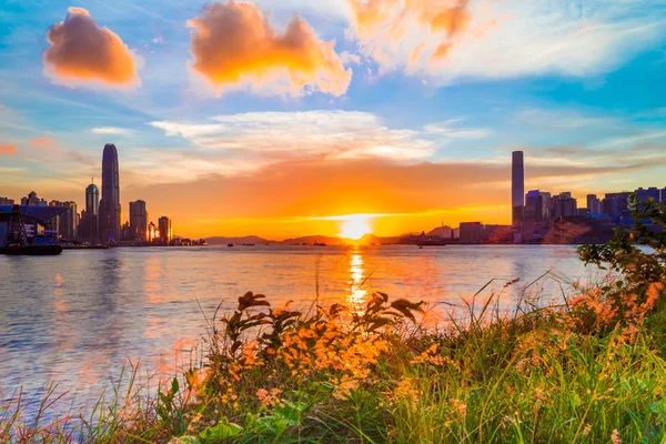 Victoria Harbor Hong Kong gün batımında