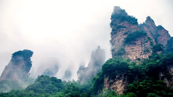霧の急な山の峰 - 張り家界国立公園、中国 — ストック写真