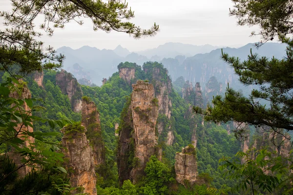 Гірський краєвид Zhangjiajie Національний парк, Китай — стокове фото