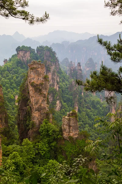 張り家界国立公園、中国の山の風景 — ストック写真