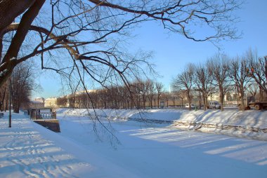 Kış soğuk bir günde karla kaplı park