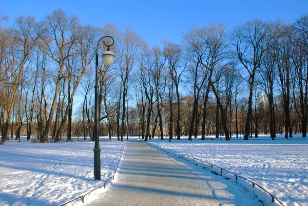 Parque de invierno cubierto de nieve en un día frío —  Fotos de Stock