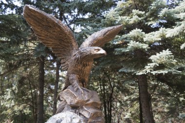 Eagle rock Park üzerinde şekil