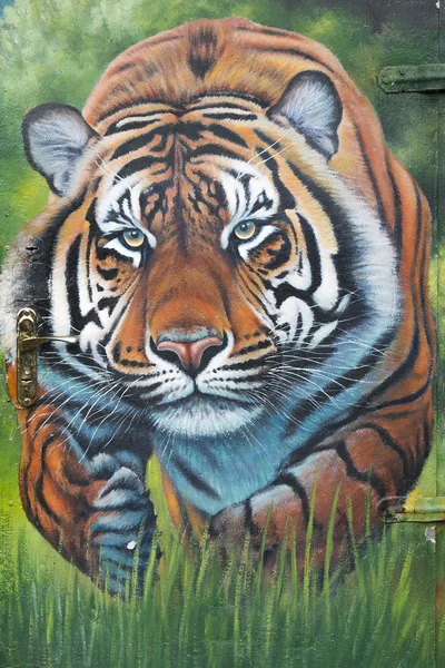 Pintado en la puerta de un tigre corriendo — Foto de Stock