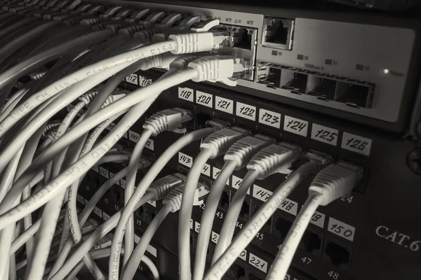 Cables in the router on the local area network — Stock Photo, Image