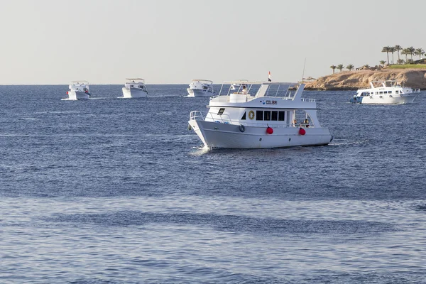 Six boats hurry to leisure travelers