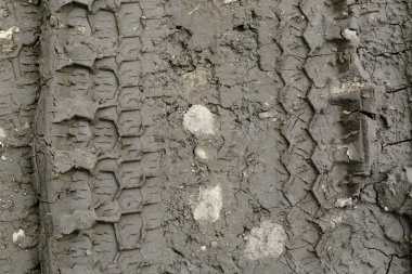 Toprak yol üzerinde otomobil lastikleri Künye