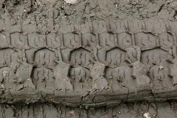 Imprint automobile tires on dirt — Stock Photo, Image