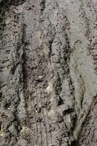 Imprint of an automobile tire on off road terrain — Stock Photo, Image