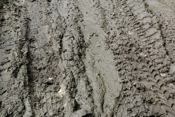 Imprint automobile tires on dirt — Stock Photo, Image