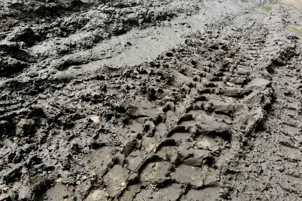 Imprint automobile tires on dirt — Stock Photo, Image