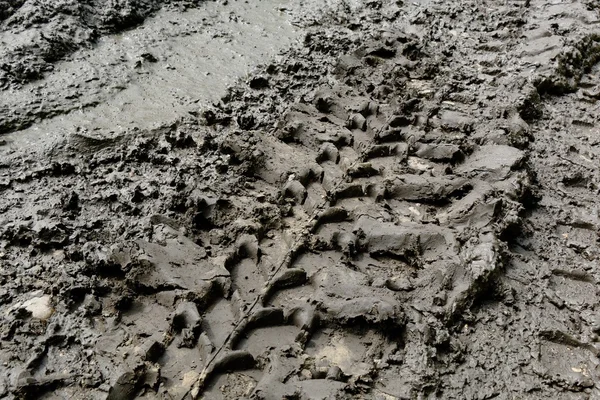 Imprint automobile tires on dirt — Stock Photo, Image