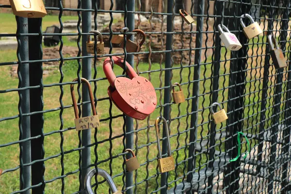 Locks hanging on the fence — Stock Photo, Image