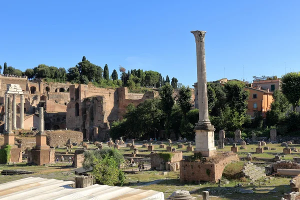 Rome, Italy. The ruins of the Roman forum — 스톡 사진