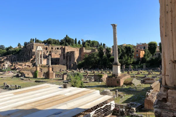 Ruins of the ancient Roman forum in Italy — Stock Fotó