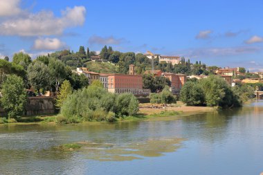 Bitkiler ve Arno Nehri'nin Riverside'da eski binalar. Floransa.