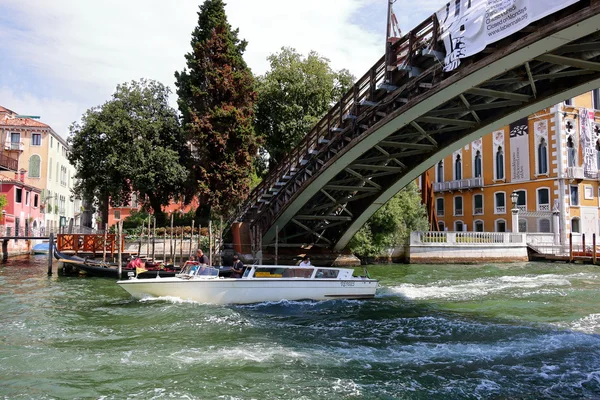 Taxi unter der Brücke Ponte dell 'Accademia in Venedig, Italien — Stockfoto