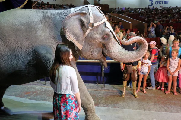 Elephant goes to the circus — Stock Photo, Image