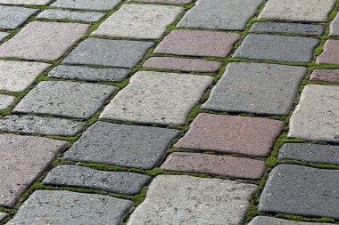 Yosun büyüyen ile renkli taşlar gelen eski kaldırım