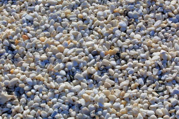 The white and yellow pebbles closeup. Background — Stock Photo, Image