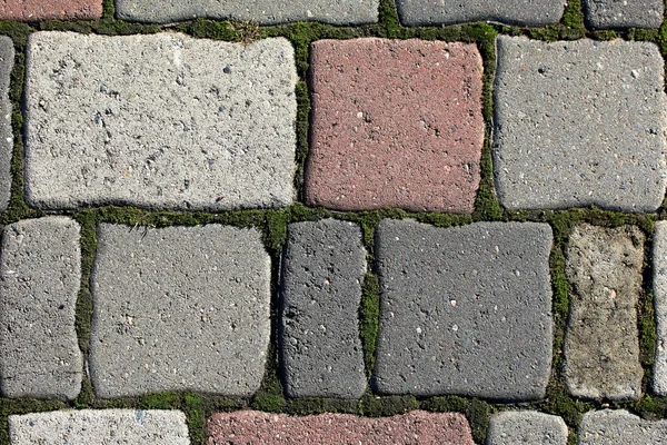 Old pavement of colored stones with growing the moss in the seam — Stock Photo, Image