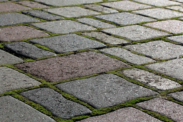 Old pavement of colored stones with growing the moss in the seam — Stock Photo, Image