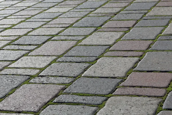 Pavement from colored stones with growing the moss — Stock Photo, Image