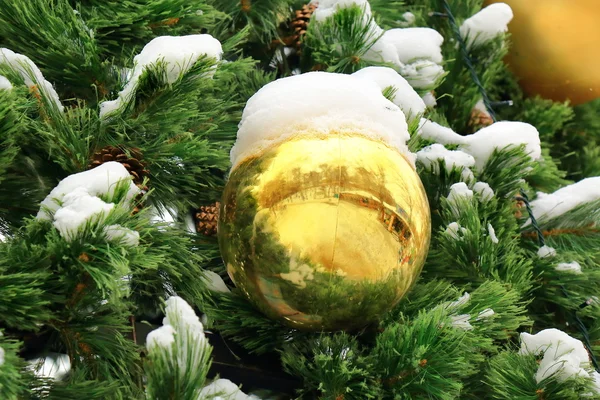 Stora gula bollen med snö på julgran — Stockfoto