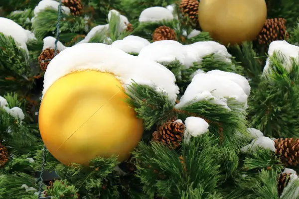 Stora gula bollen med snö på julgran — Stockfoto