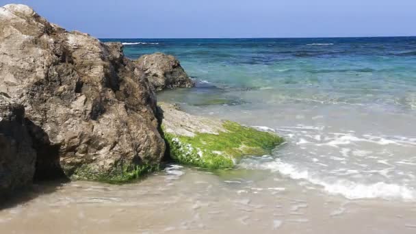 Olas en la playa — Vídeos de Stock