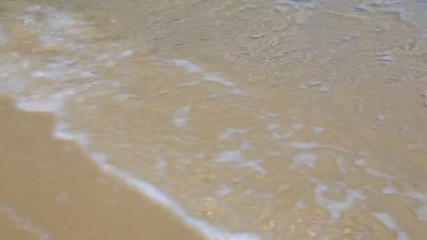 Golven op het strand — Stockvideo