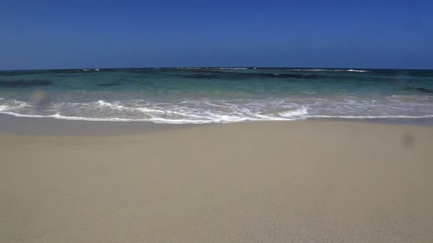 Волны на пляже — стоковое видео