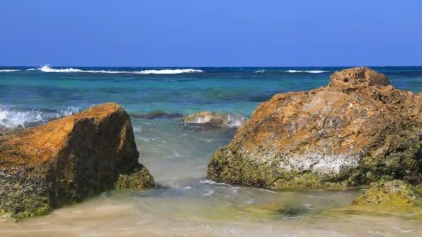 Onde sulla spiaggia — Video Stock