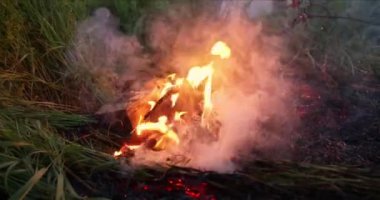 Çayırın ortasında akşam ateşi.