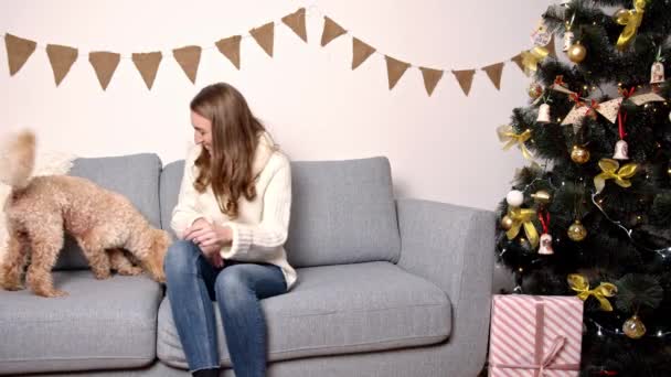 Un cane riccio corse verso la ragazza e suo marito si avvicinò, la abbracciò e la coprì con una coperta — Video Stock