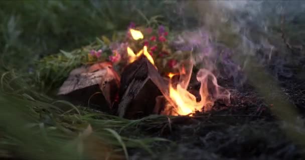 Języki płomieni na łąkach, spowolniony ruch dymu — Wideo stockowe