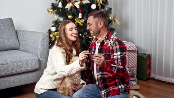 Paar in liefde zitten op de achtergrond van de kerstboom en spelen met sterretjes met een hond op zijn knieën — Stockvideo