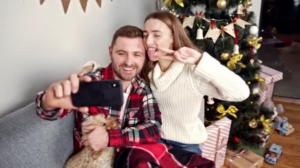 Pasgetrouwden maken coole foto 's op de achtergrond van een groene kerstboom — Stockvideo