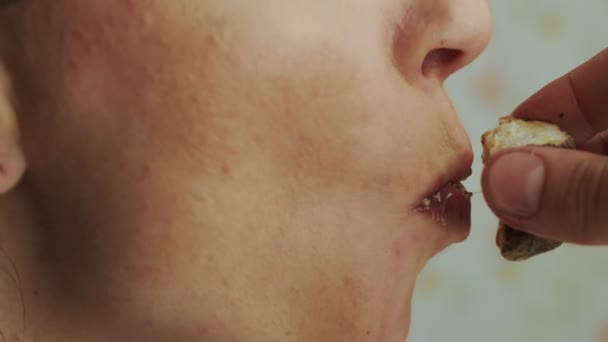 아낌없이 카메라를 씹는 여성 입술의 근접 사진 — 비디오