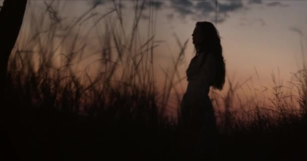 Tajemniczy dziewczyna jest chodzenie w wieczorem las w pobliżu drzewa — Wideo stockowe