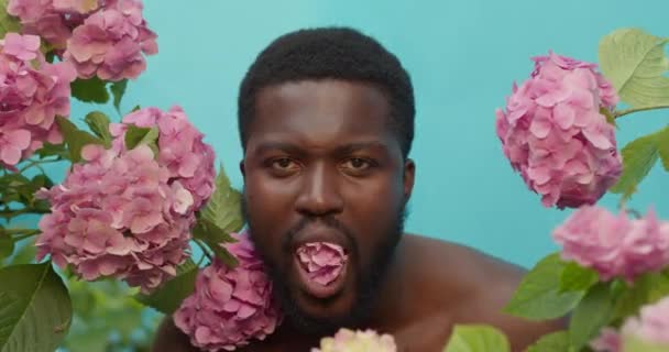 Gros plan d'un homme noir attrayant qui présente à l'origine le cadeau de fleurs — Video