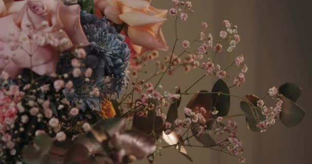 Close-up van prachtige draaiende lentebloemen — Stockvideo