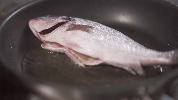 Κοντινό πλάνο αρωματικών και φρέσκων ψαριών τηγανισμένων σε τηγάνι υπό τον έλεγχο του σεφ — Αρχείο Βίντεο